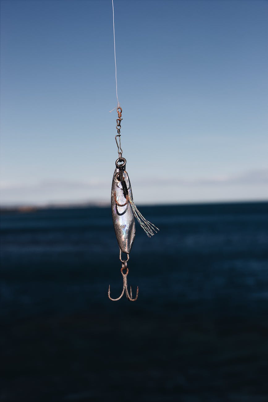 photo of fish bait